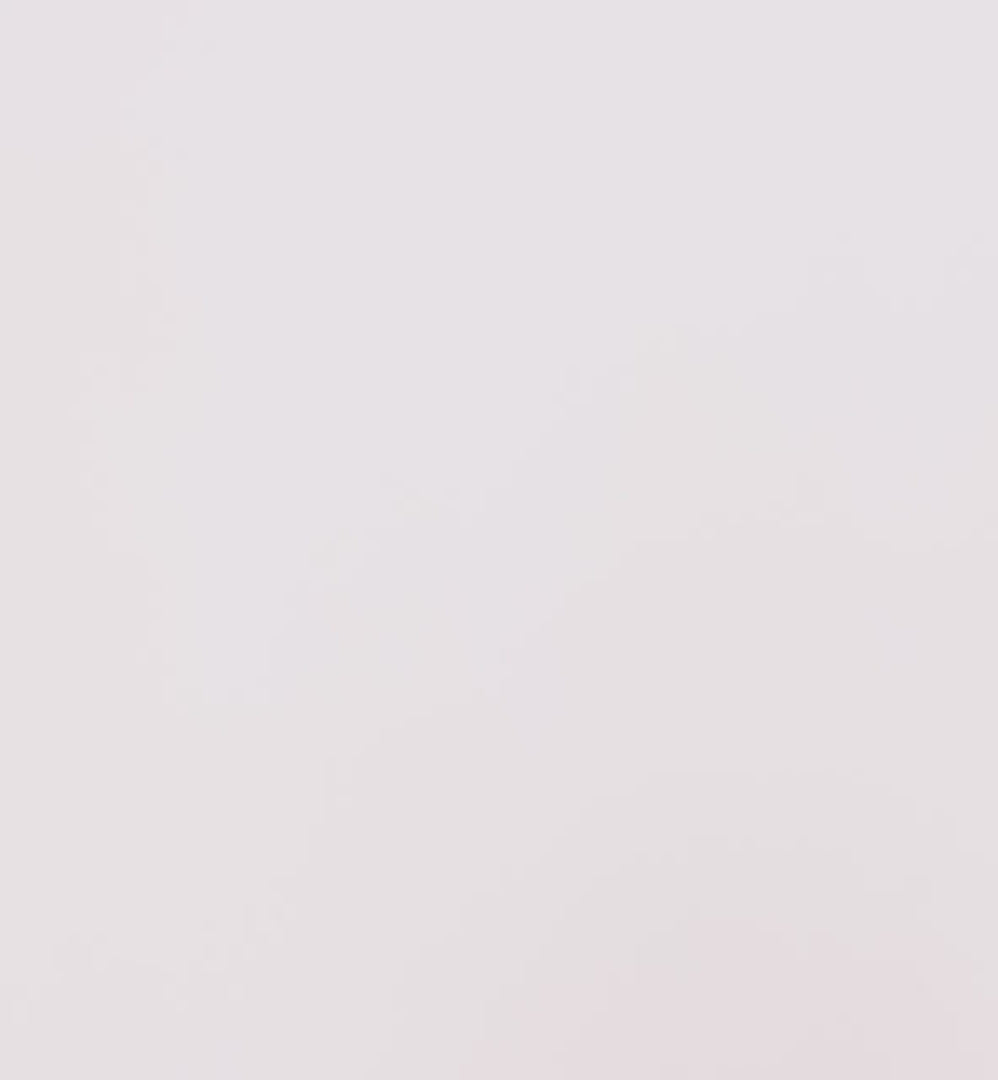 Load video: Rainbow Tote | Leopard Print Velvet